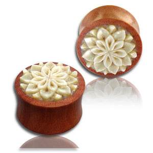 Shell Mandala Wood Ear Plugs - Ekeko Crafts